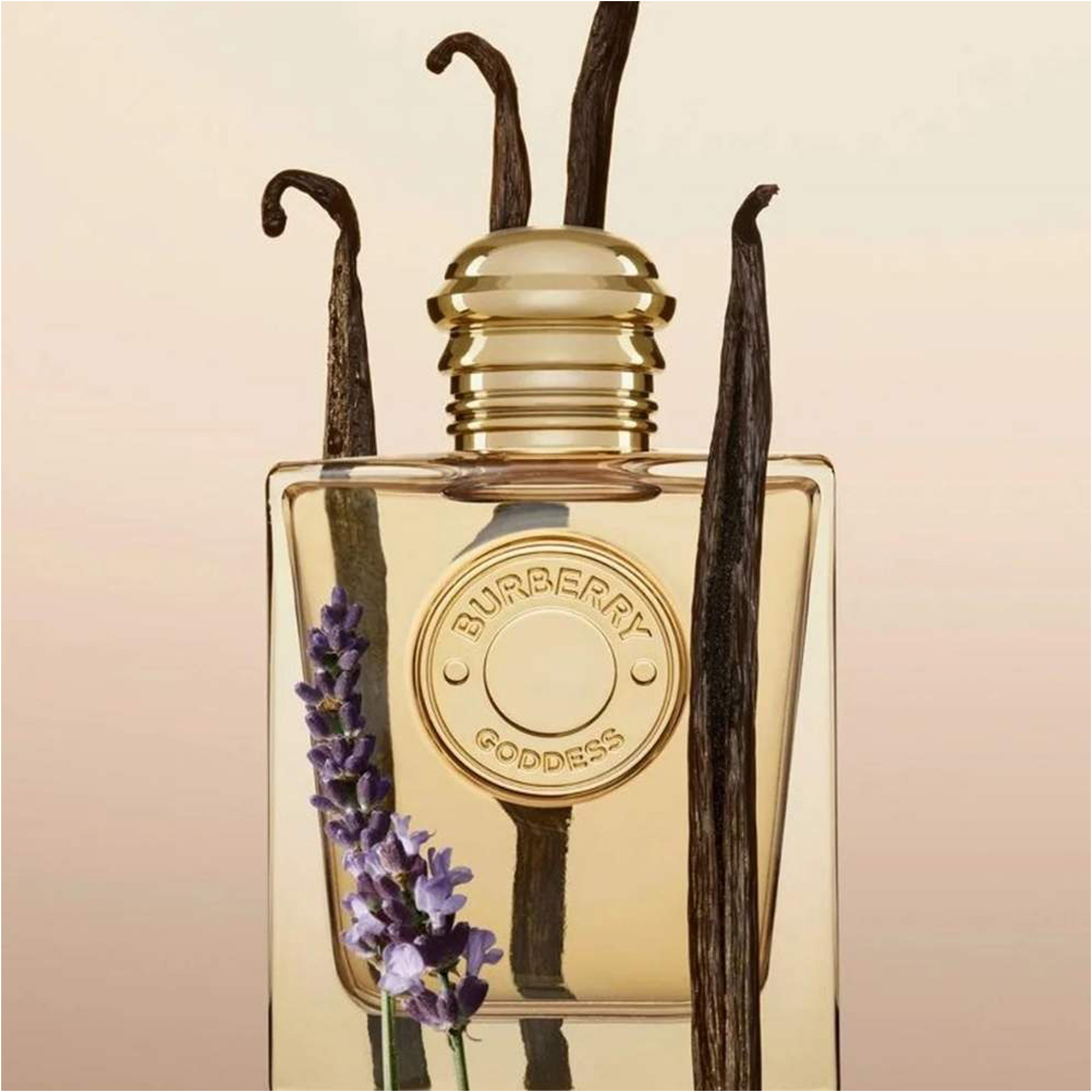 Burberry Goddess Kadın Parfüm Edp 50 Ml | EVKUR