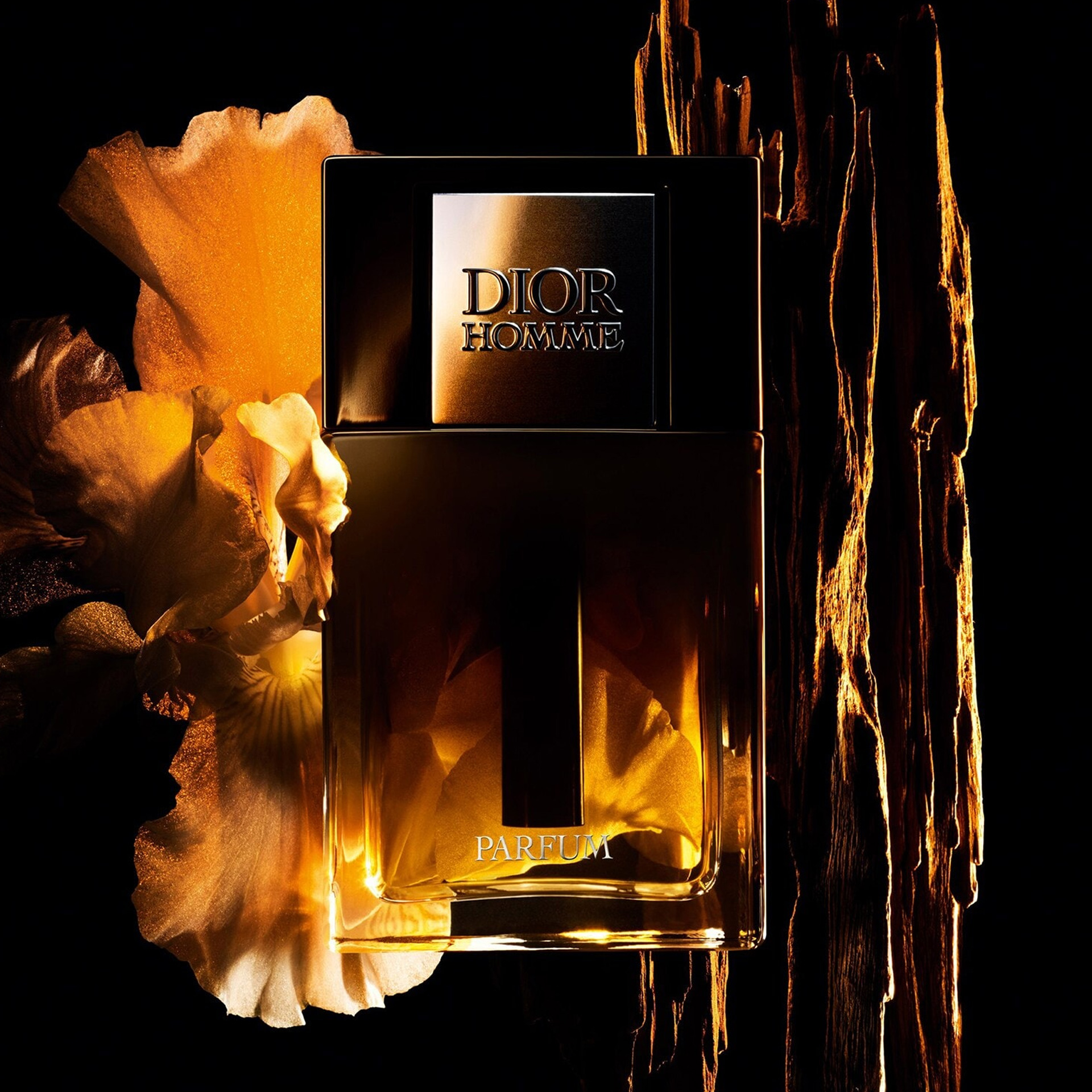 Dior Homme Edp Parfüm 50 ml Erkek Parfüm | EVKUR