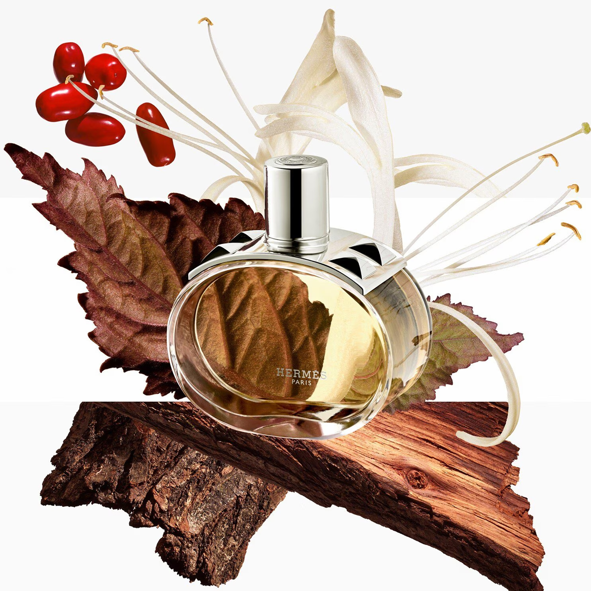 Hermes Barénia Edp 100 ml Kadın Parfüm I Evkur