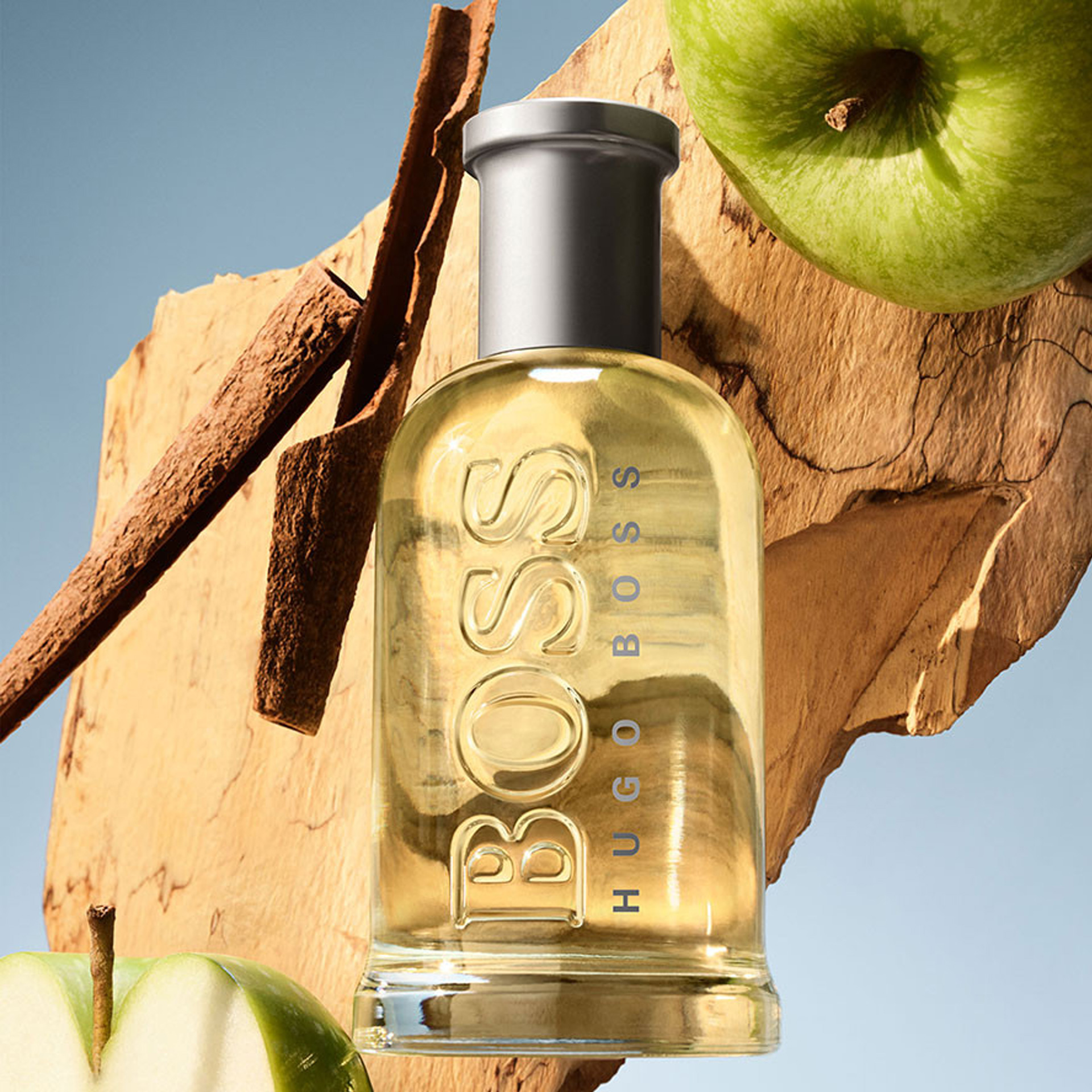 Boss Bottled Edt 100 ml Erkek Parfüm | Evkur
