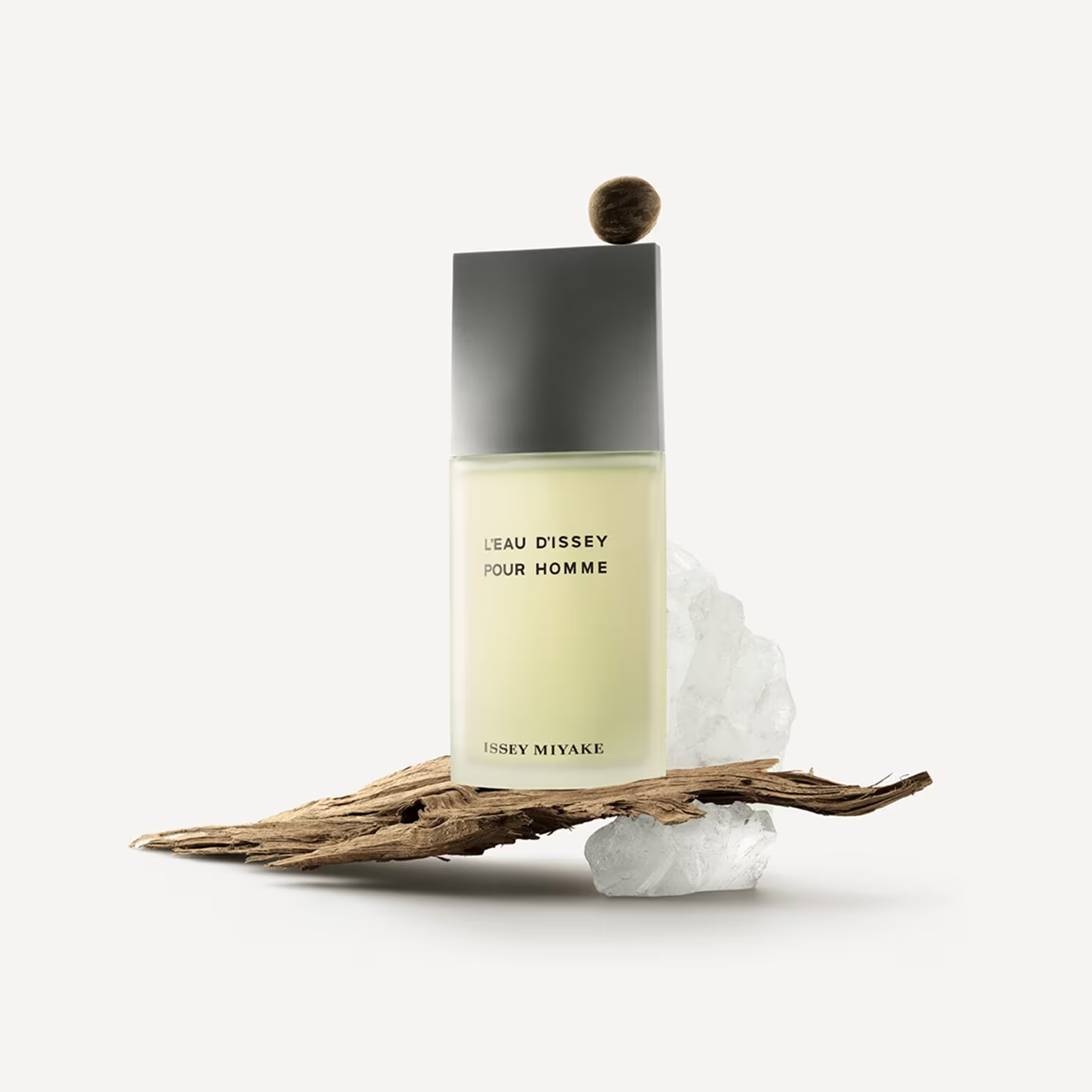 Issey Miyake L'Eau D'Issey Edt 75 ml Erkek Parfüm