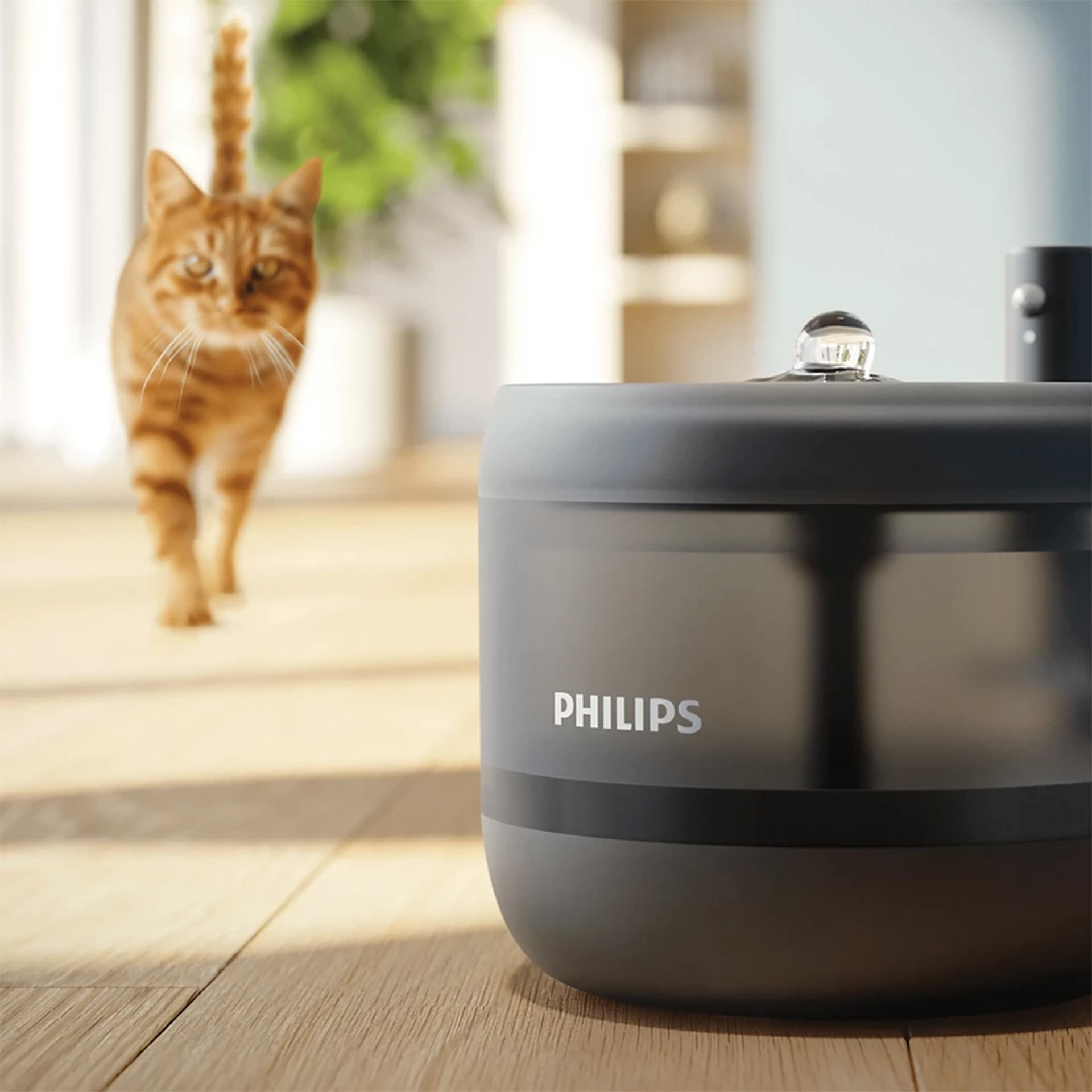 Philips PAW3210/02 Evcil Hayvan Serisi Su pınarı
