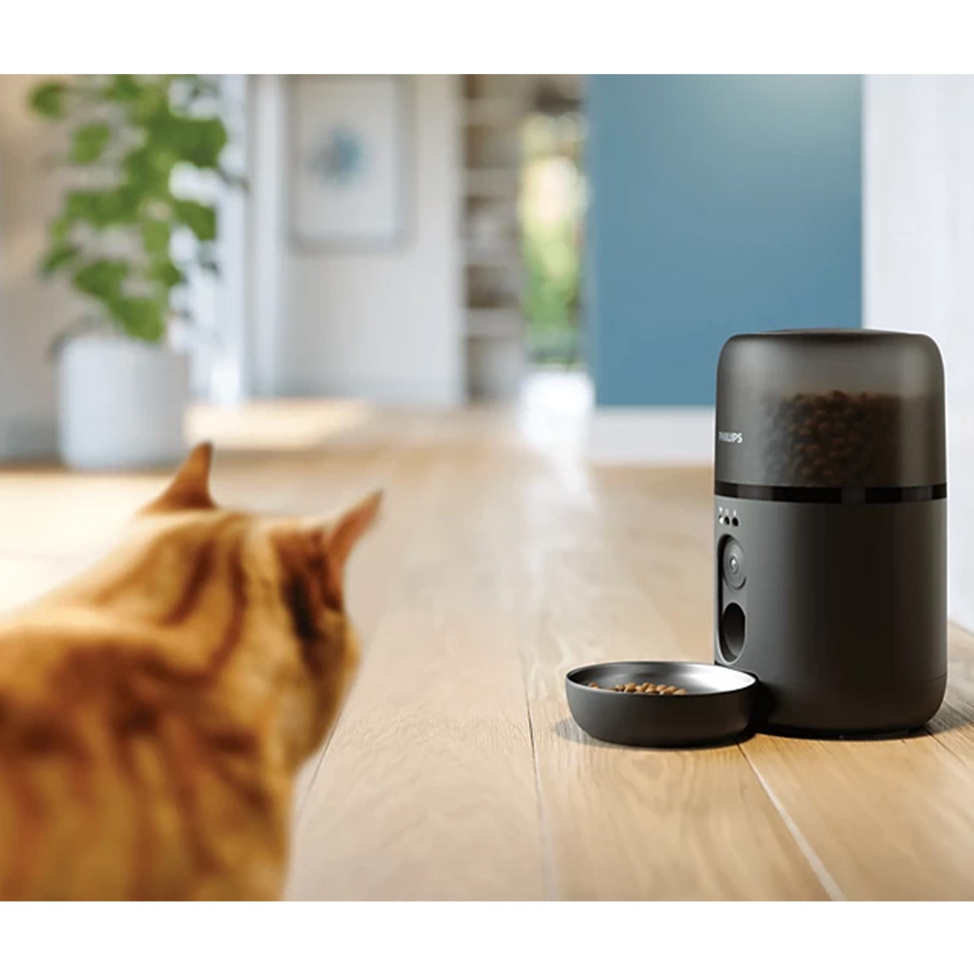 Philips PAW5320/02 Evcil Hayvan Serisi Kameralı Akıllı Besleyici