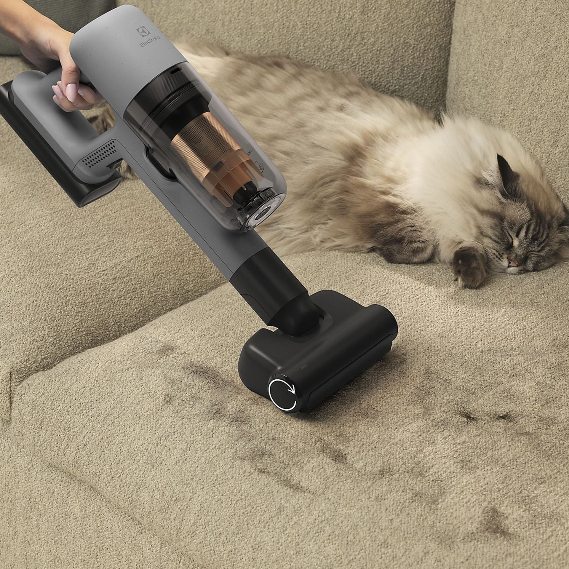 Electrolux EP72AB21UG Toz Torbasız Şrjlı Dikey Süpürge