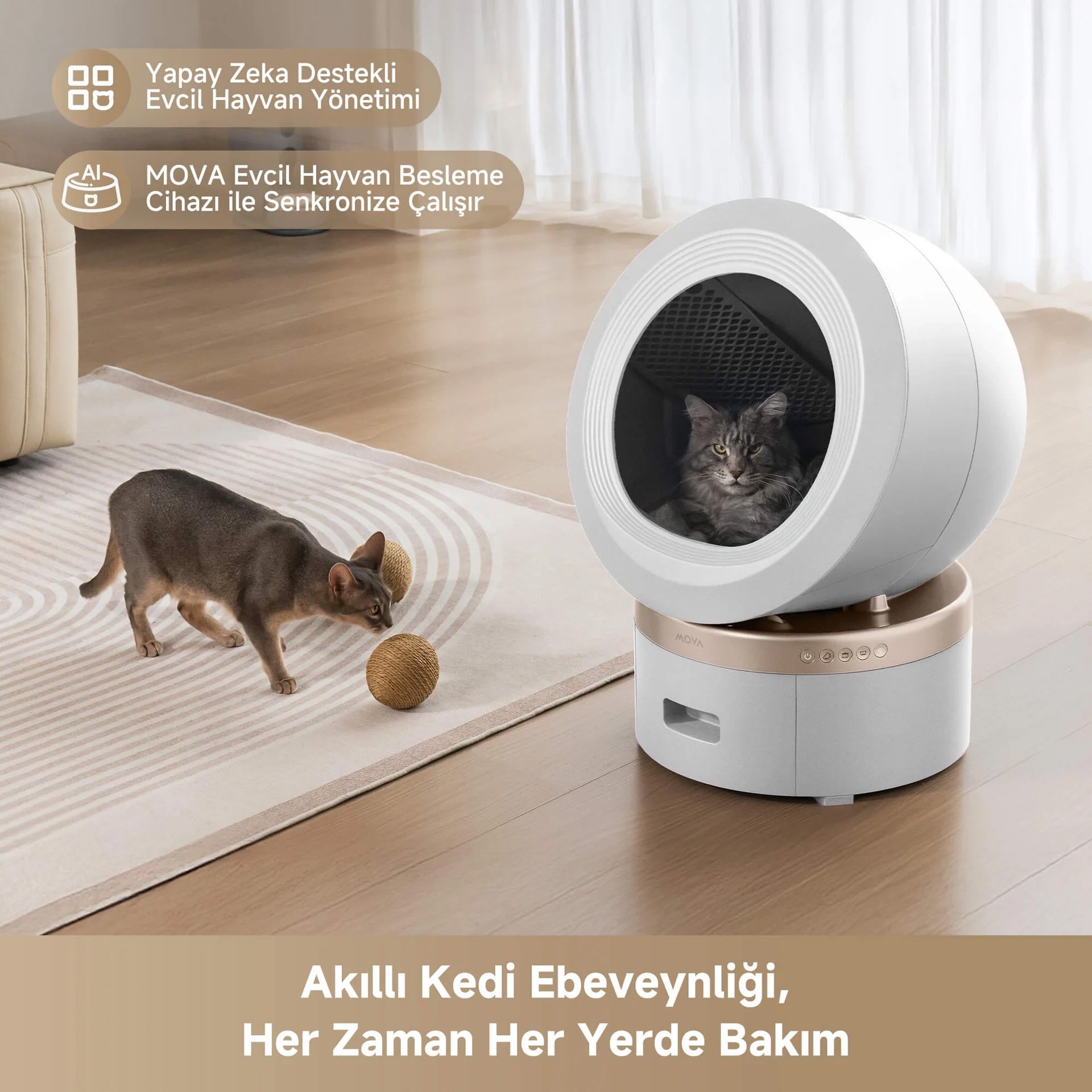 Mova LR10 Prime Akıllı Kedi Tuvaleti Beyaz