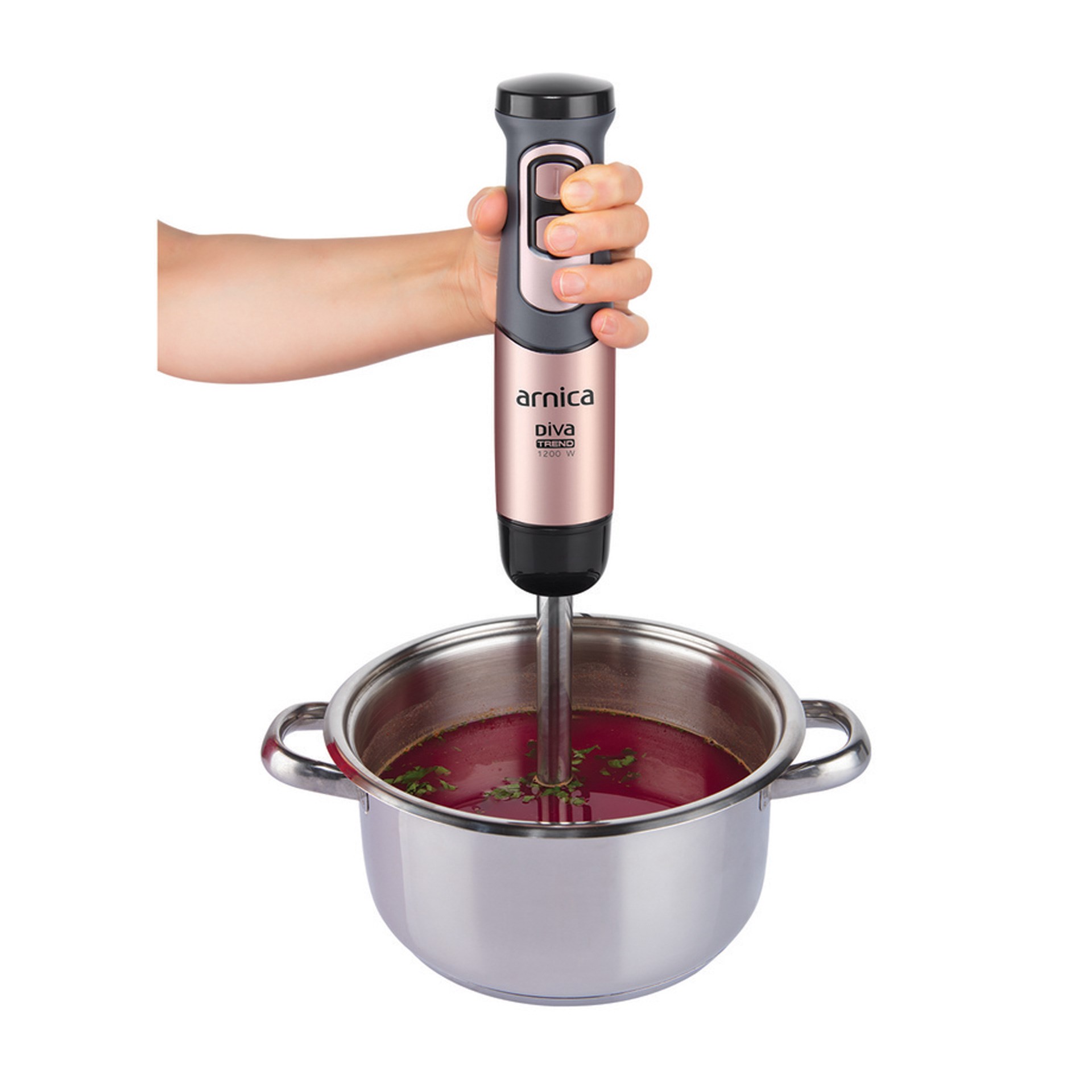 Arnica GH21593 Diva Trend El Blender Seti Rose