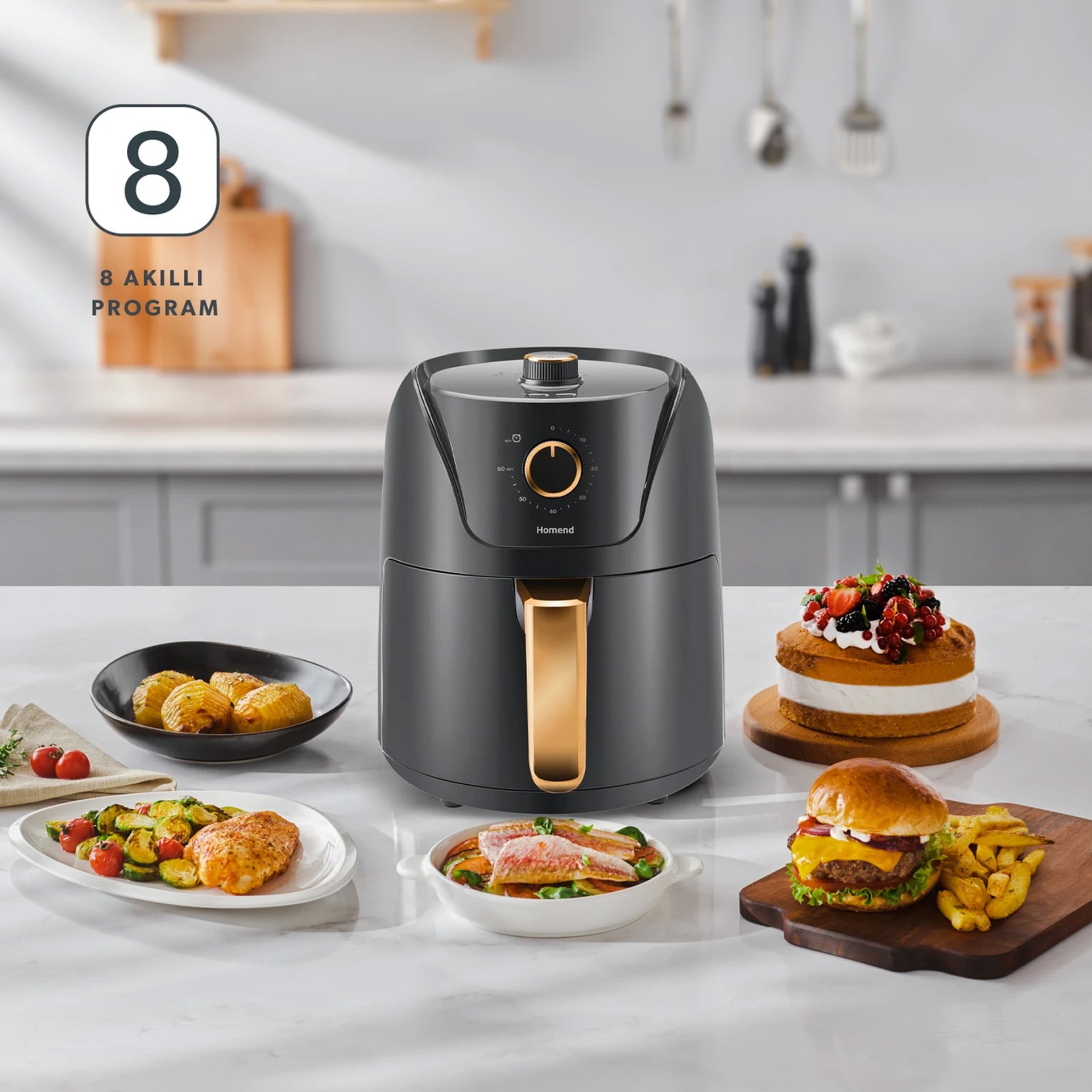 Homend 2505H 8 Farklı Programlı Airfryer Antrasit