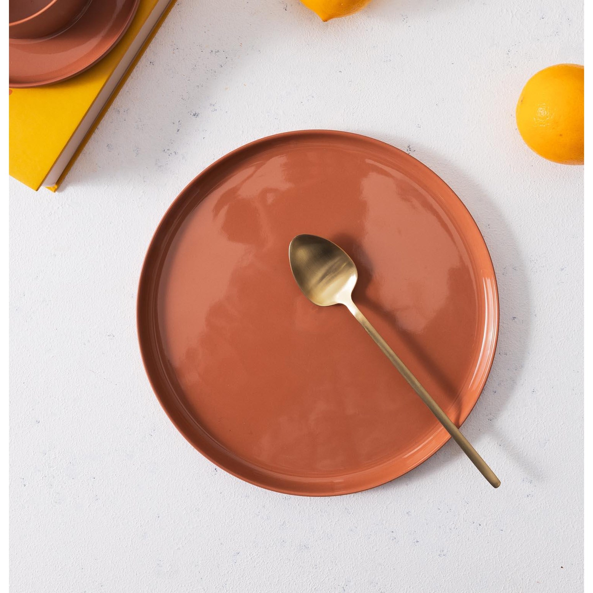 The Mia Cotta Limoges Pasta Tabağı Terracota