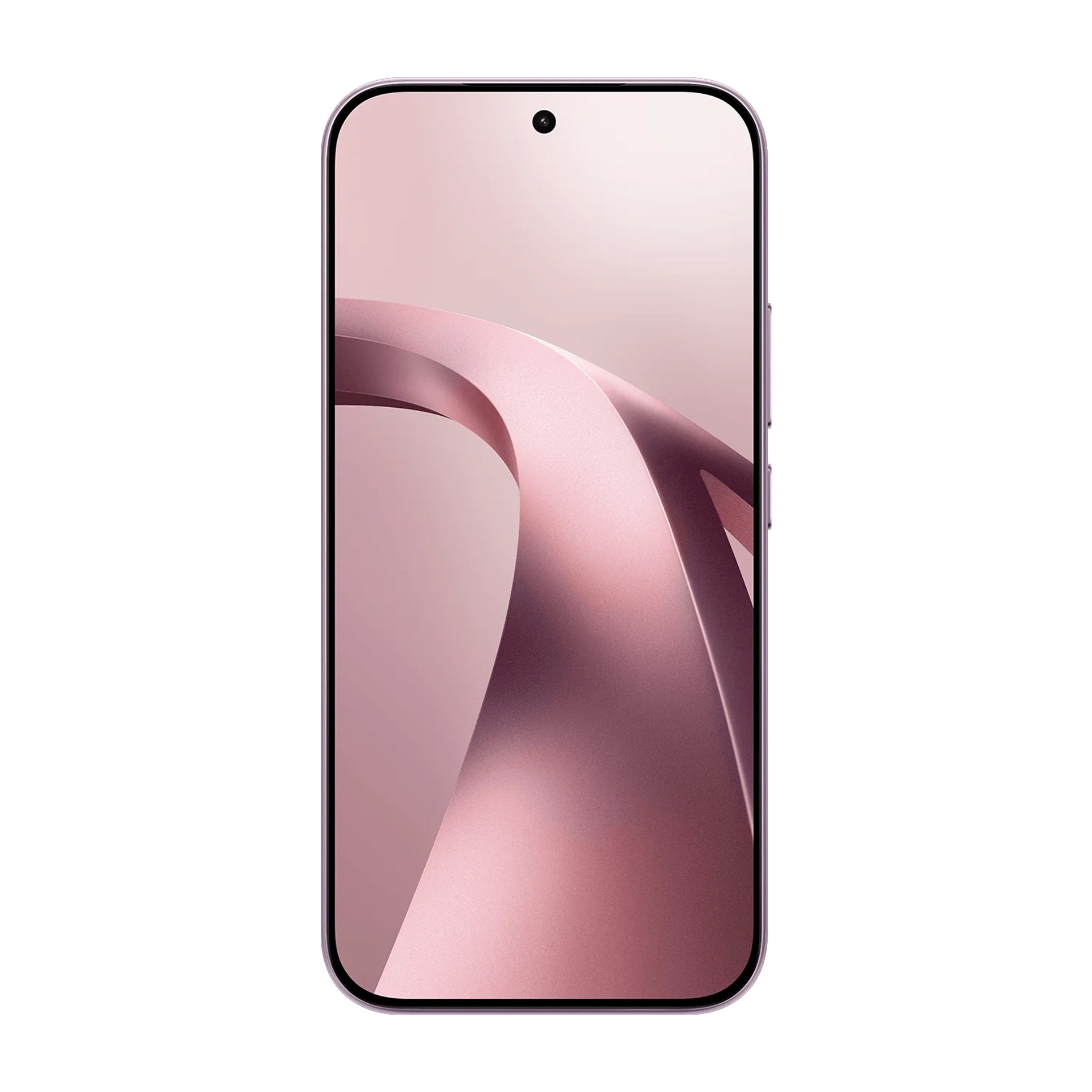 Xiaomi 17T 12/256GB Akıllı Telefon Mor | Evkur